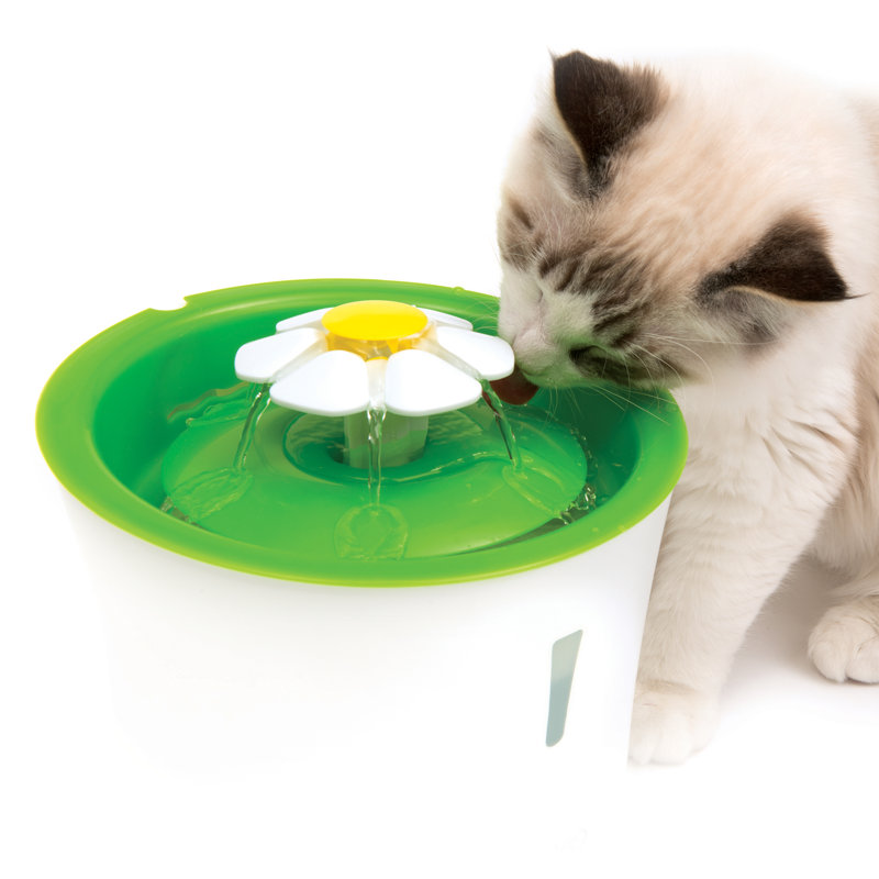Anti-Skid Pet Fountain