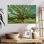 Vieil arbre Harnek-107677410