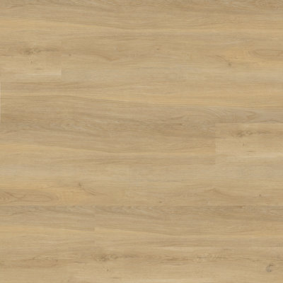 Plancher de vinyle rigide luxueux à noyau rigide en bois de frêne de 9 po x 48 po à 8 mm de 22 po Grove Grovehaven Hudson