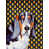 Basset hound 1