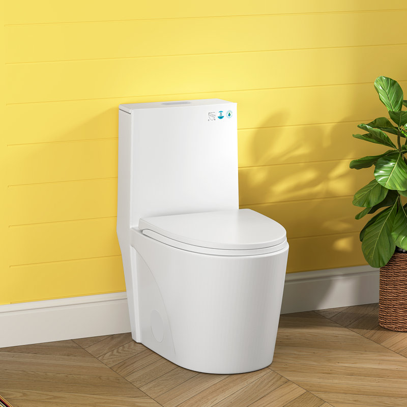Compact One Piece Modern Elongated Toilet with ADA-Compliant Comfort Height 17.1", Save Water Dual Flush 1.1/1.6 GPF , MAP 1000g (UF Seat Included)