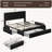 Avelle Vegan Leather Metal Platform Storage Bed with Drawers and Built-In USB Ports-866905213-866769617
