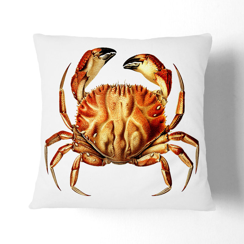 Square Throw Cushion, 40cm H x 40cm W x 15cm D, Black