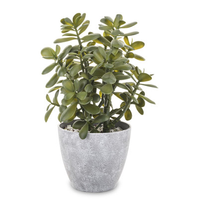41cm Faux Succulent Tree in Earthenware Pot