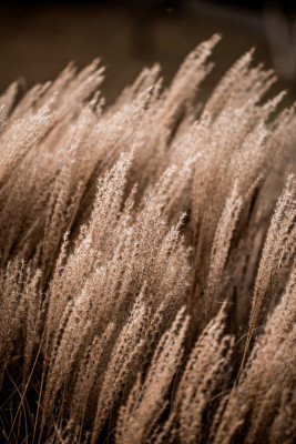 Wrapped Canvas Print, 76.2 cm H x 50.8 cm W