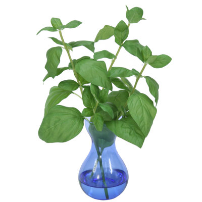 Douille basil en vase