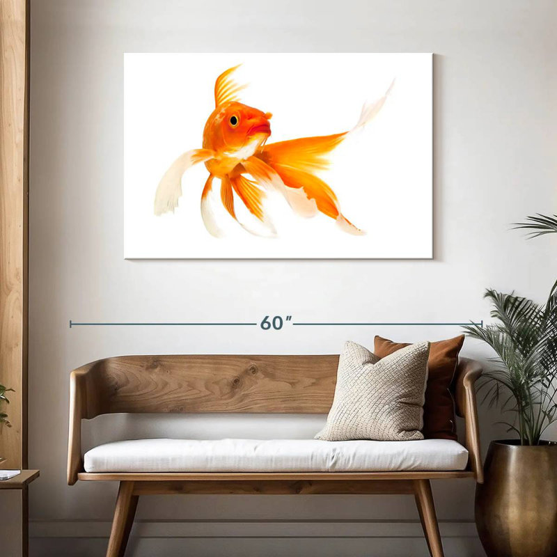 Brampt Goldfish, H 30 po x l 45 po