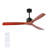 59.96'' Ceiling Fan