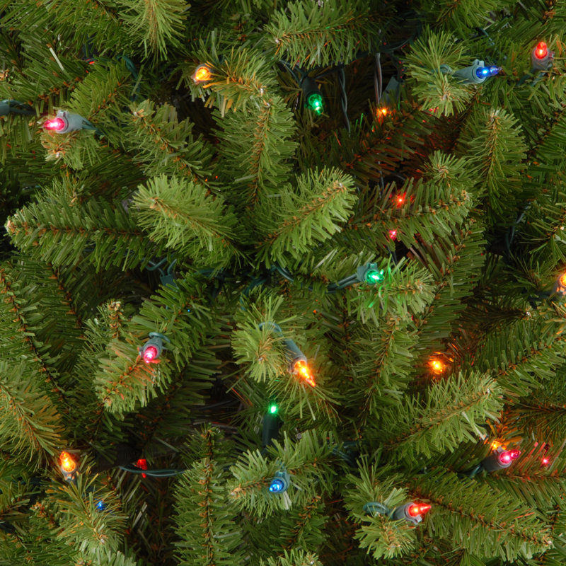 The Holiday Aisle® Kingswood Fir Pencil Tree with Multicolor Lights, 7'