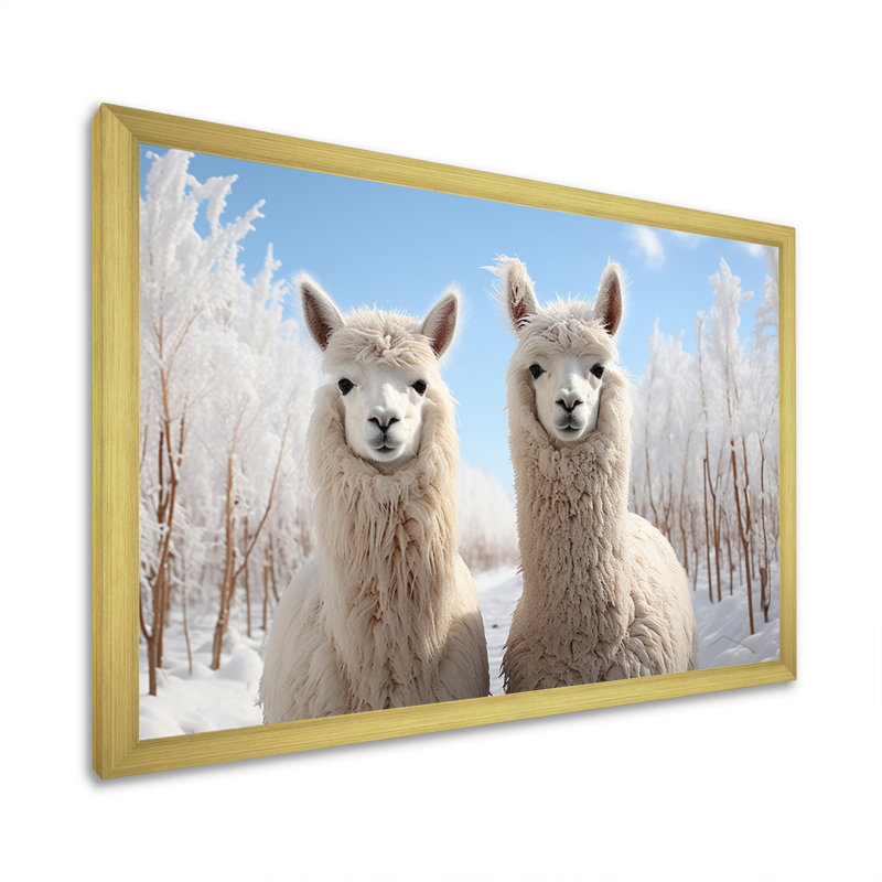 Alpagas Graceful Alpacas III - impression, H 30 po x l 40 po x P 1,5 po, Encadrement doré
