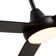 Owens 56'' Ceiling Fan with LED Lights