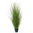 Artificial Onion Zebra Grass in Starter Pot-409982144
