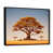 Black Floater Framed