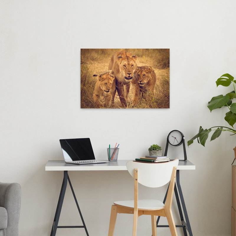 Lioness And Cubs Contemporary Cat Lion Nature Wildlife Wall Art Print 1 Piece Wrapped Canvas Wall Art, 60.96cm H x 91.44cm W