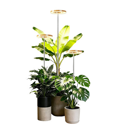 Ensemble de 2 lampes de croissance pour plantes d'intérieur, 5 niveaux de luminosité et 3 modes d'éclairage, hauteur réglable de 25 à 165 cm, finition imitation bois, idéales pour une serre ou un salon.