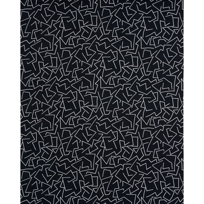 Schumacher x Hadiya Williams Tangent Print Fabric