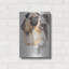 «Pug And Ghost» par Barbara Keith-647078854