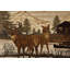 Tapis d'intérieur Alers Camouflage Woods-16344801