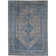 Neo Villa Oriental Area Rug in Beige/Blue