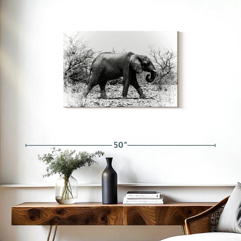 Éléphant d'Afrique Brampt au Botswana, H 20 po x l 30 po
