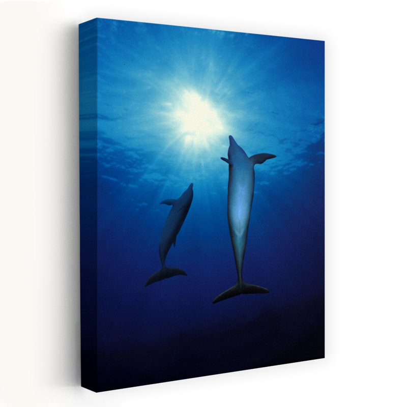Dauphins à nez de bouteille Tursiops Troncus dans la mer, art contemporain abstrait, H 48 po x l 32 po
