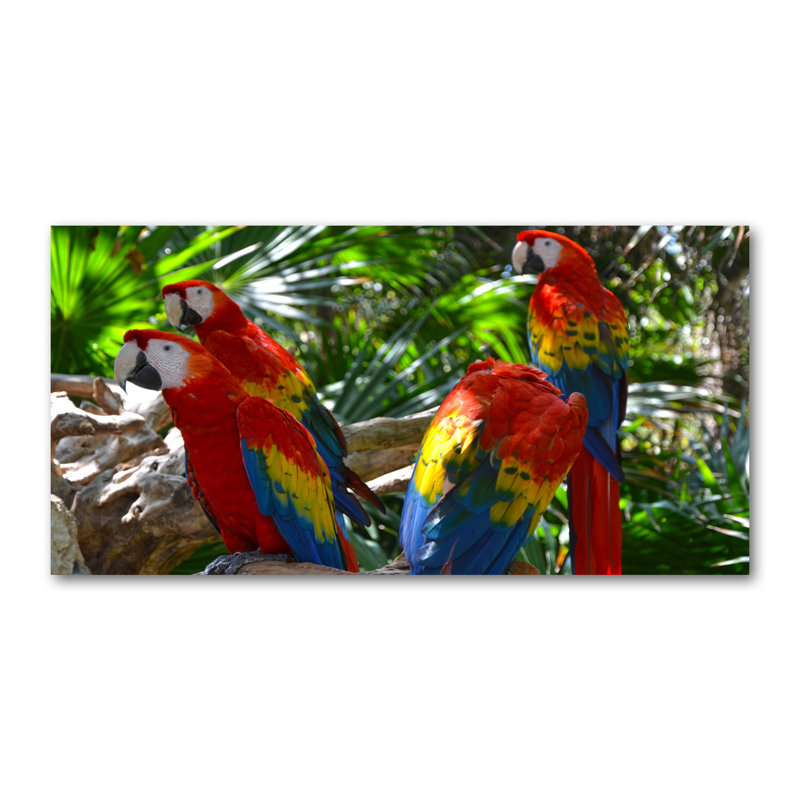 Macaw Parrots - Wrapped Canvas Print