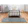 Attell Floral Indoor Rug