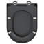 Grey Plastic Standard Adjustable Armrests Toilet Seat Oval-369684994