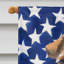 Drapeau de maison en polyester à 2 côtés Shahnur-1886136104