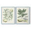 Buchoz Tropicals III - reproduction encadrée de qualité supérieure - prête à être accrochée - aucun clou requis - aucun clou requis-1569479730-1569479743