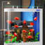 Aquarium moderne 165-175 gallons en acrylique Eco-129197475-129197477