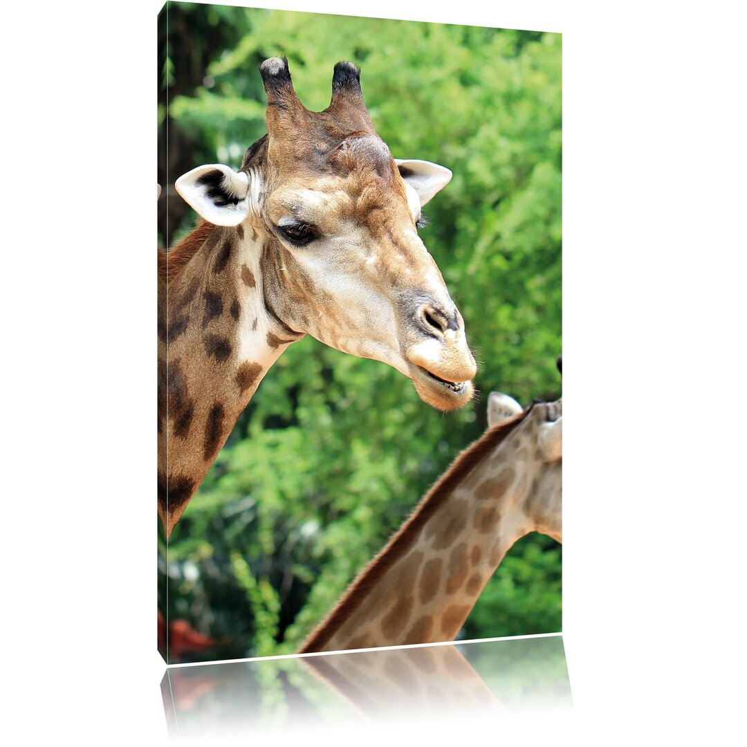 Leinwandbild Giraffen, Fotodruck