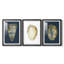 Coquille en feuille d'or I sur cobalt - reproduction sur mesure encadrée de qualité supérieure - 3 pièces-405913204-405913207