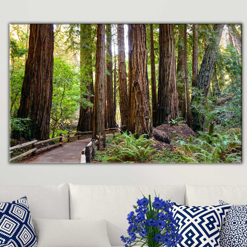 " Boardwalk In The Forest ", 24" H x 40" W x 1.5" D