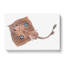 Brown Ray by Edward Donovan - Wrapped Canvas-55362461