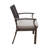 Outdoor Modern Aluminum Dining Chair With Cushion (Set Of 2)