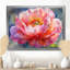 Sunlit Peony Bloom of Elegance I - pivoines, art mural-369010516-369010512