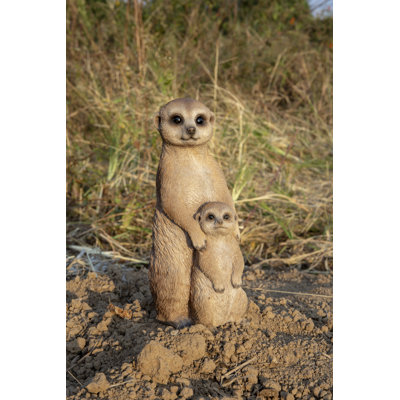 Surmeerkat mère et bébé