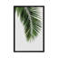 " Palm Leaf I " by Orara Studio-29681812-74422995-74422996