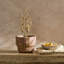 Pot Planter-1352744368-1352744375