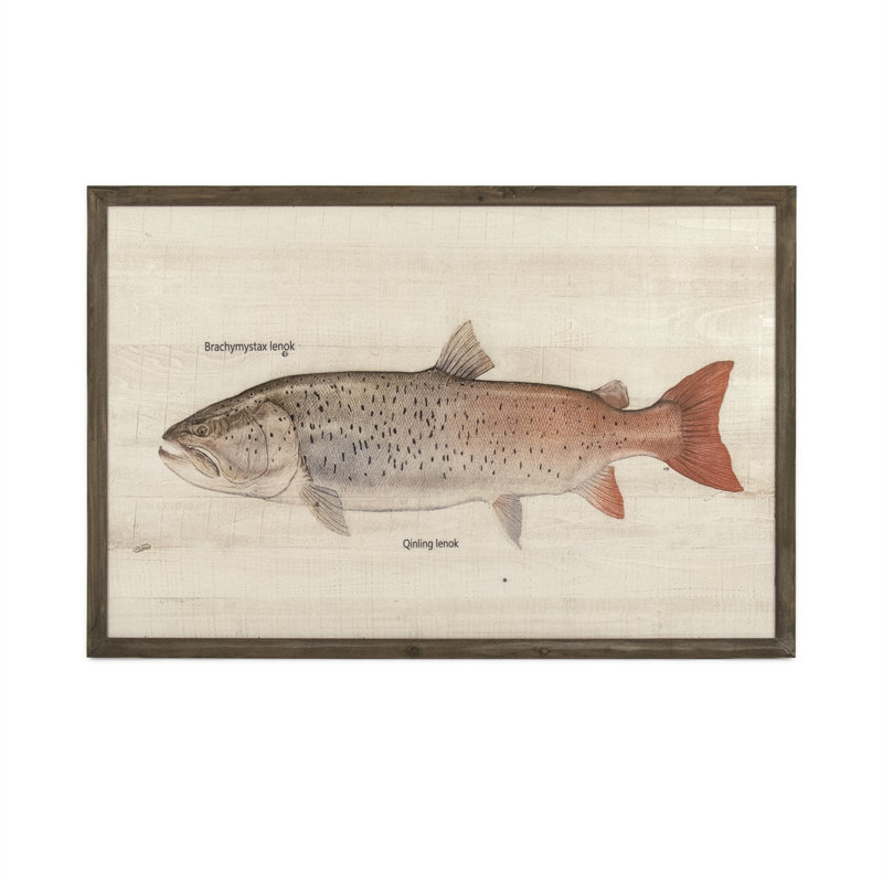 Qinling Lenok Print, 31.5" H x 47.5" W x 1.5" D