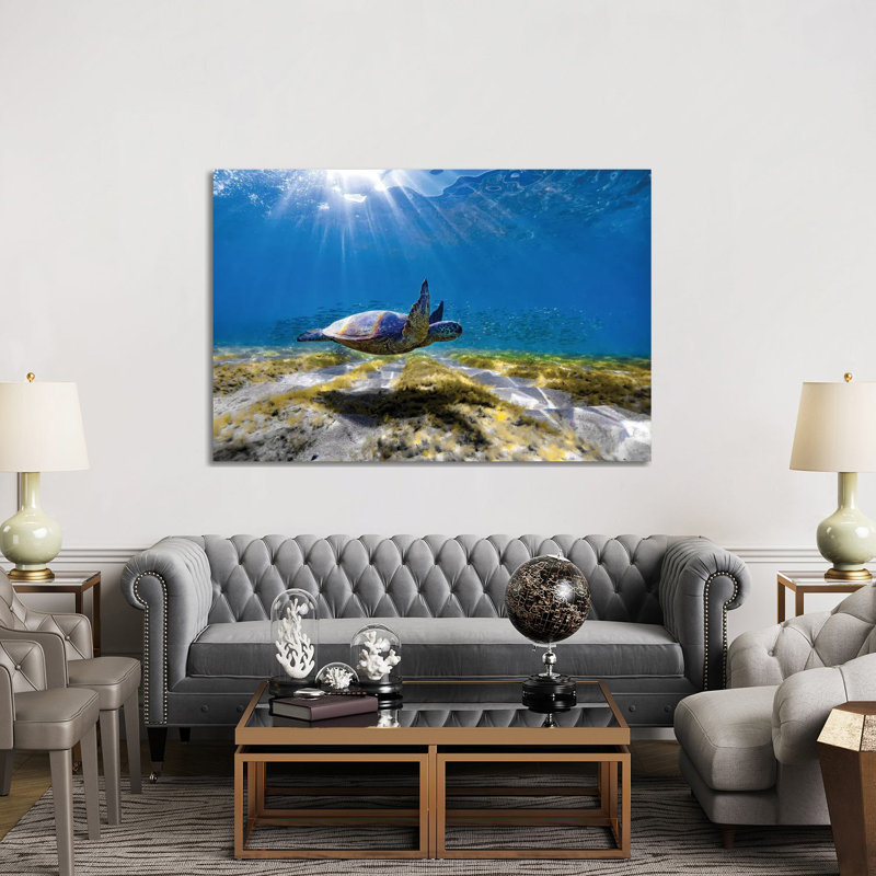 Waimea Turtle Glide by Sean Davey - Wrapped Canvas Gallery-Wrapped Canvas Giclée, 152.5 cm H x 101.5 cm W