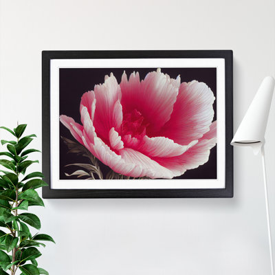 Admirable Carnation Flower - Single Picture Frame Print