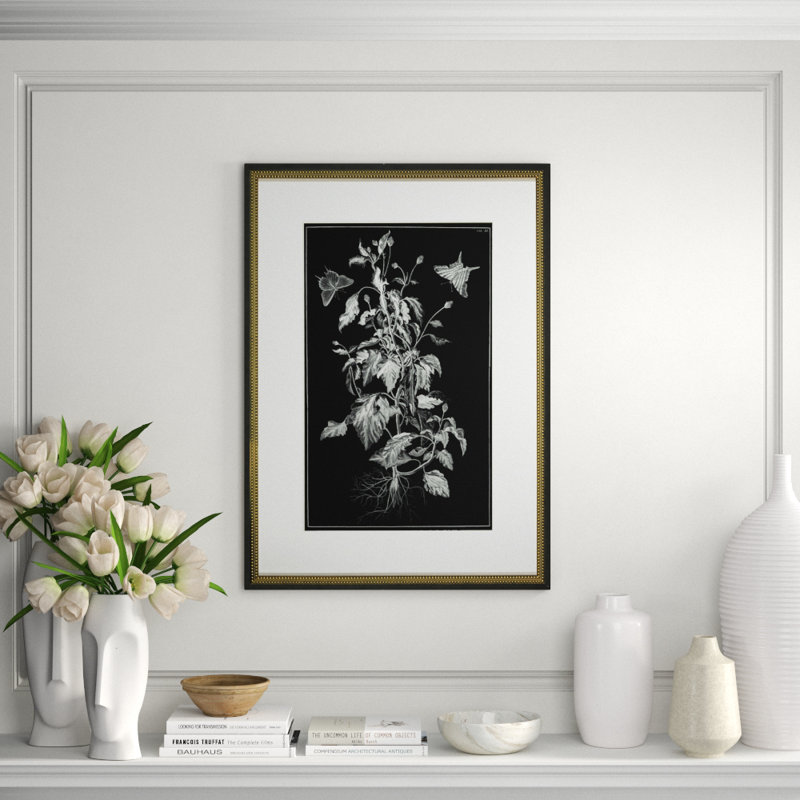 Butterfly Botanical II Print