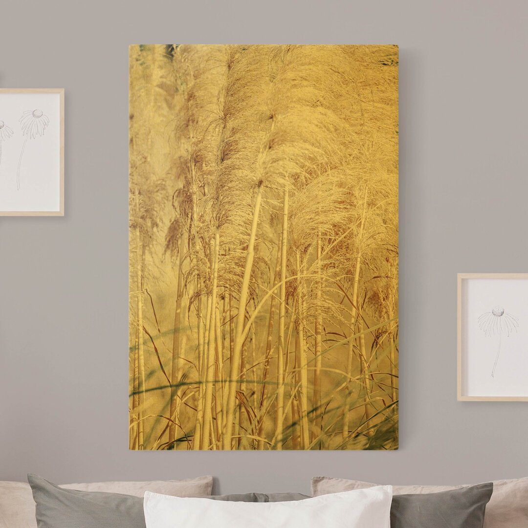 Leinwandbild Warm Pampas Grass in Summer von Monika Strigel