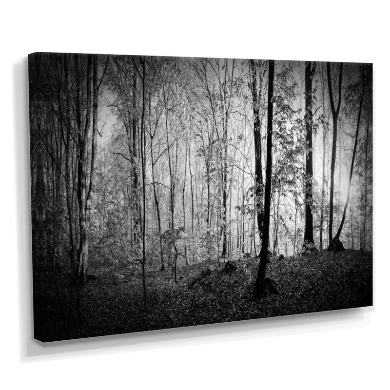 «Beautiful Forest Morning Panorama», reproduction, H 8 po x l 12 po, Toile tendue
