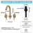 2-handle Bathroom Faucet with Drain Assembly