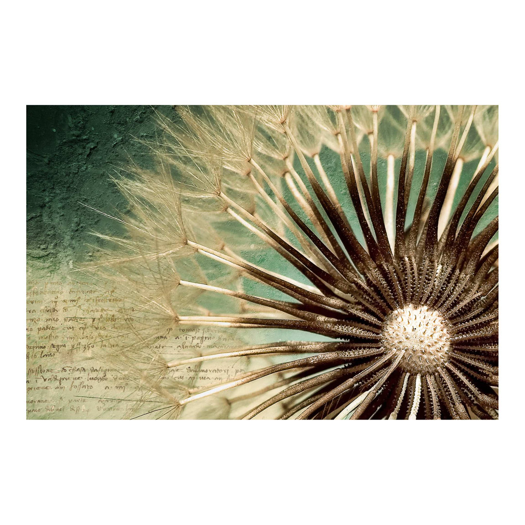 Sommerallee Vliestapete - Pusteblumen Tapeten - Fototapete Breit-Beige, Grün