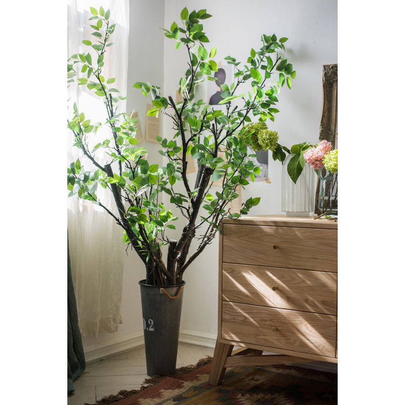 Branche de tige de camellia à feuille, H 39 po x l 3 po x P 2 po