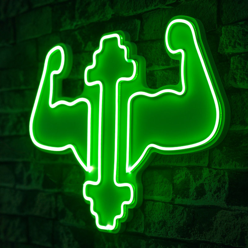 Éclairage à bande flexible au néon, vert, 22,0 x 15,0 x 1,2 pouces | IP67 étanche - adaptateur 12V 4A | 570 lumens, 3200K blanc chaud | Parfait pour la décoration intérieure, les fêtes et les événements, l'installation facile et la conception personnalisable
